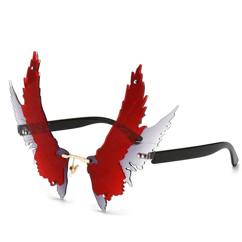 lunettes-de-soleil-ailes