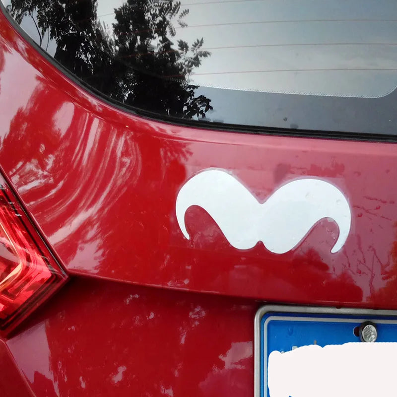 moustache-voiture-drole