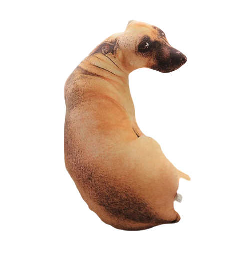 coussin-rigolo-tiktok