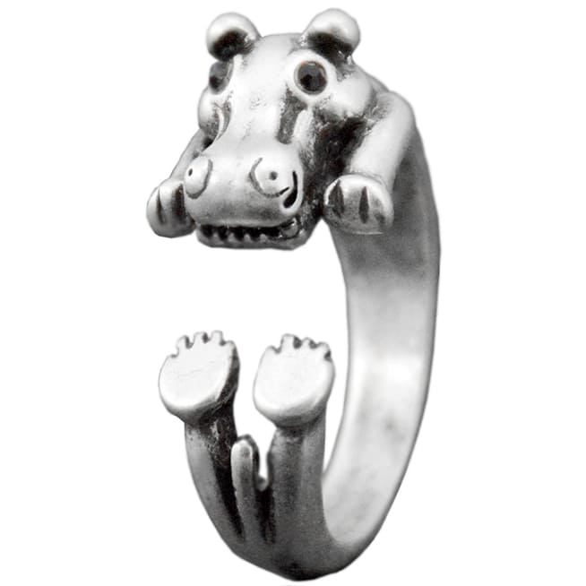 Bague-laide