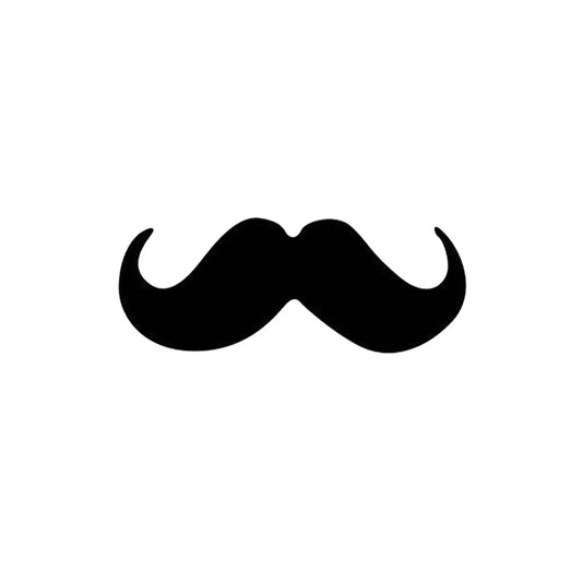 moustache-pour-voiture